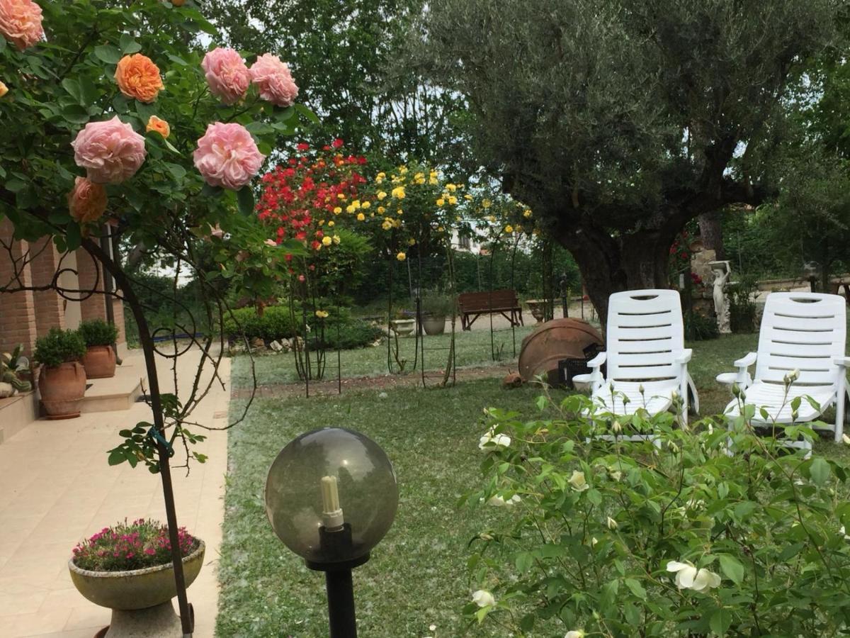 Picchio Verde San Giuseppe  Εξωτερικό φωτογραφία